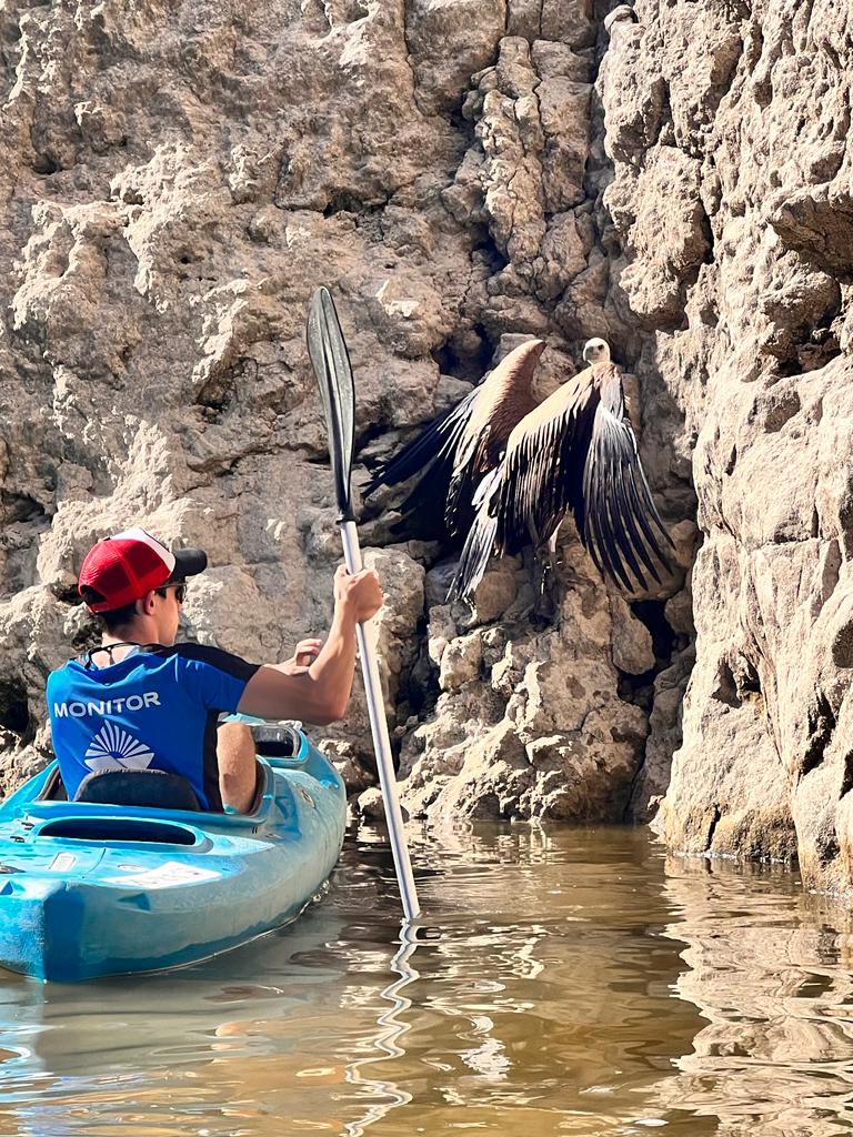 rutas en kayak